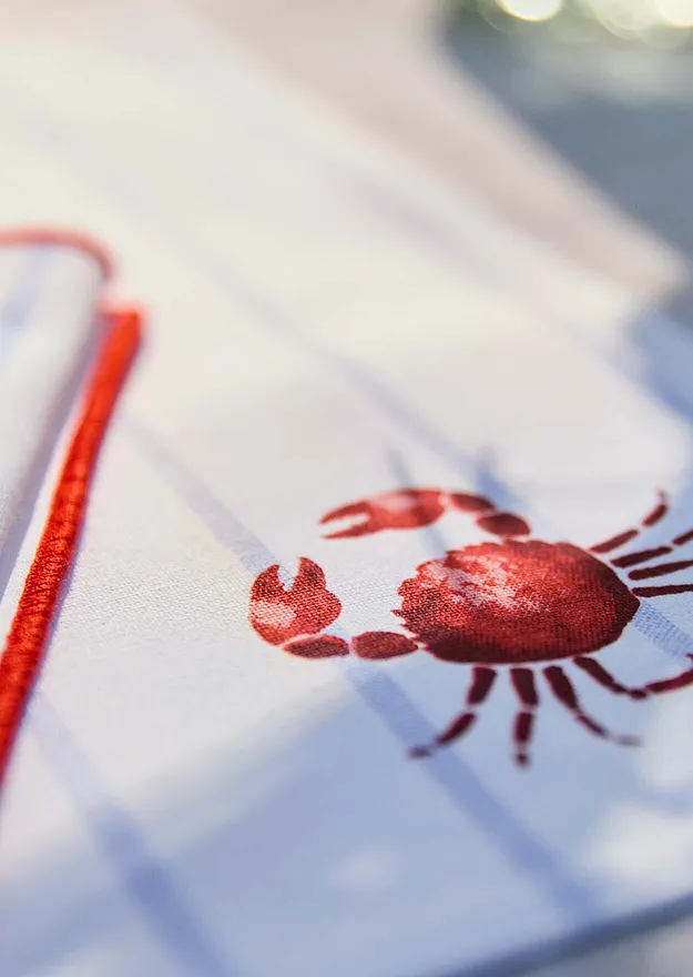 Casa & Giardino - Tovagliette americane in cotone biologico (pacco da 2) - Azzurro polvere / granata