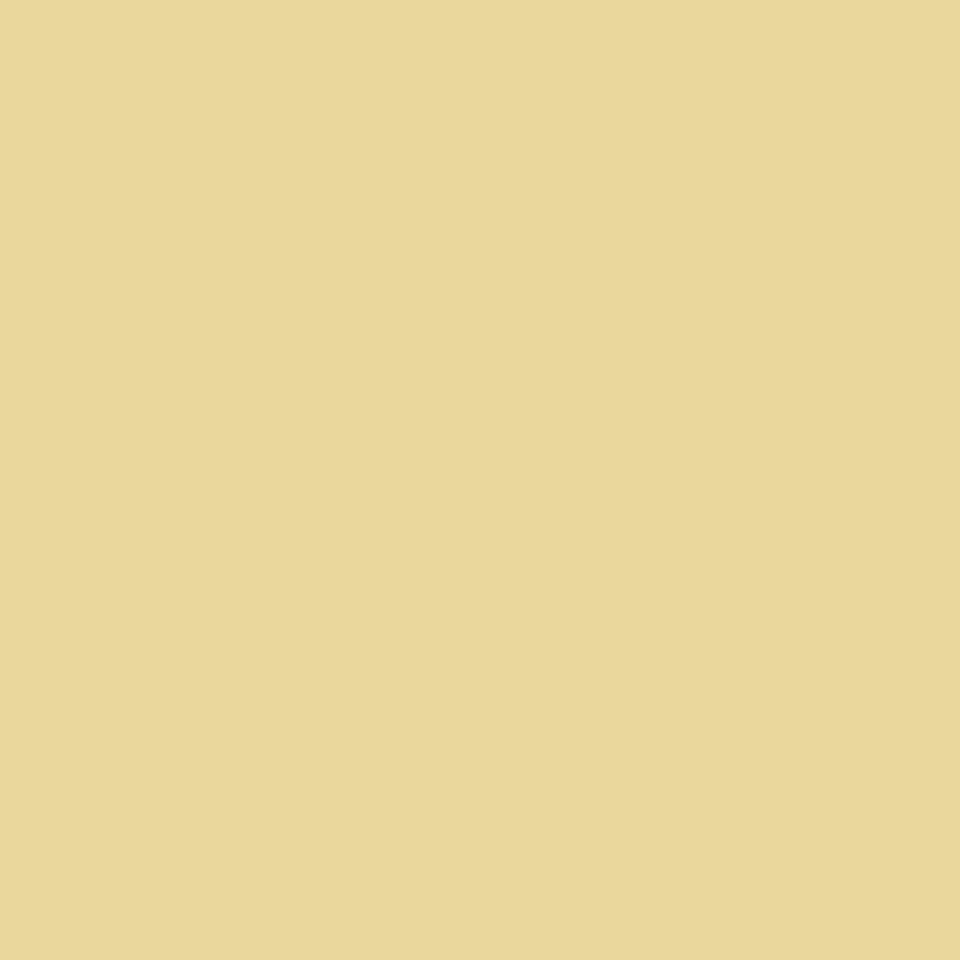 Donna - Reggiseno sportivo con spalline olimpioniche e sostegno leggero - Giallo chiaro