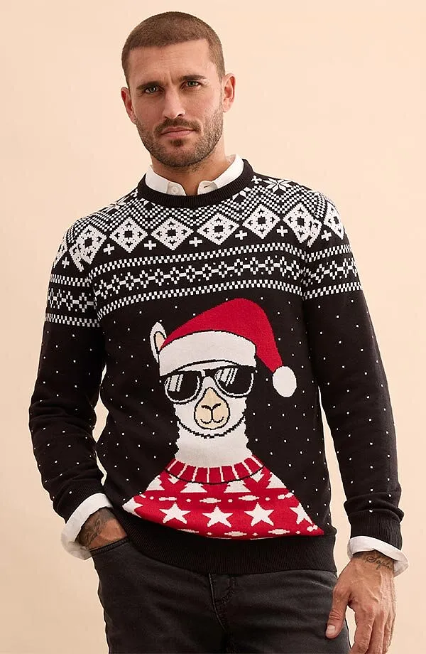 Uomo - Maglione natalizio in misto cotone morbido - Nero / bianco