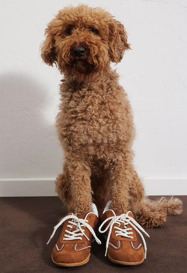 Donna - Sneaker in stile retr&ograve; - Marrone caramello
