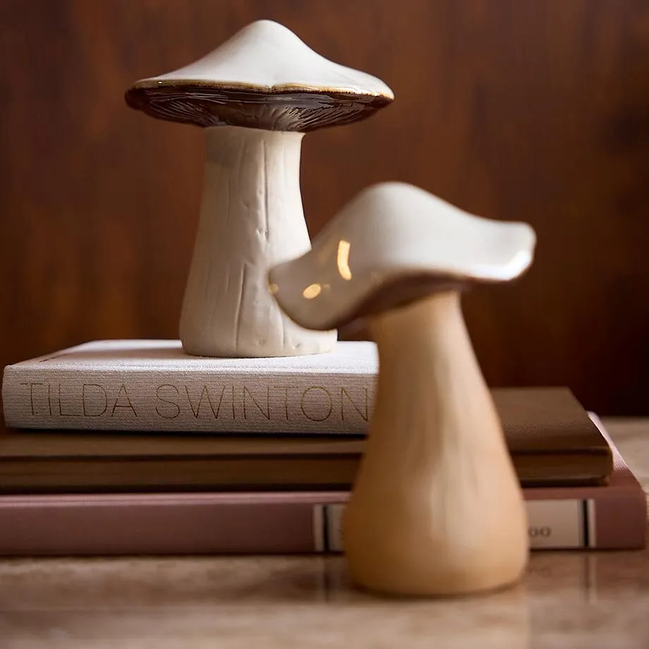 Funghi decorativi su una pila di libri.