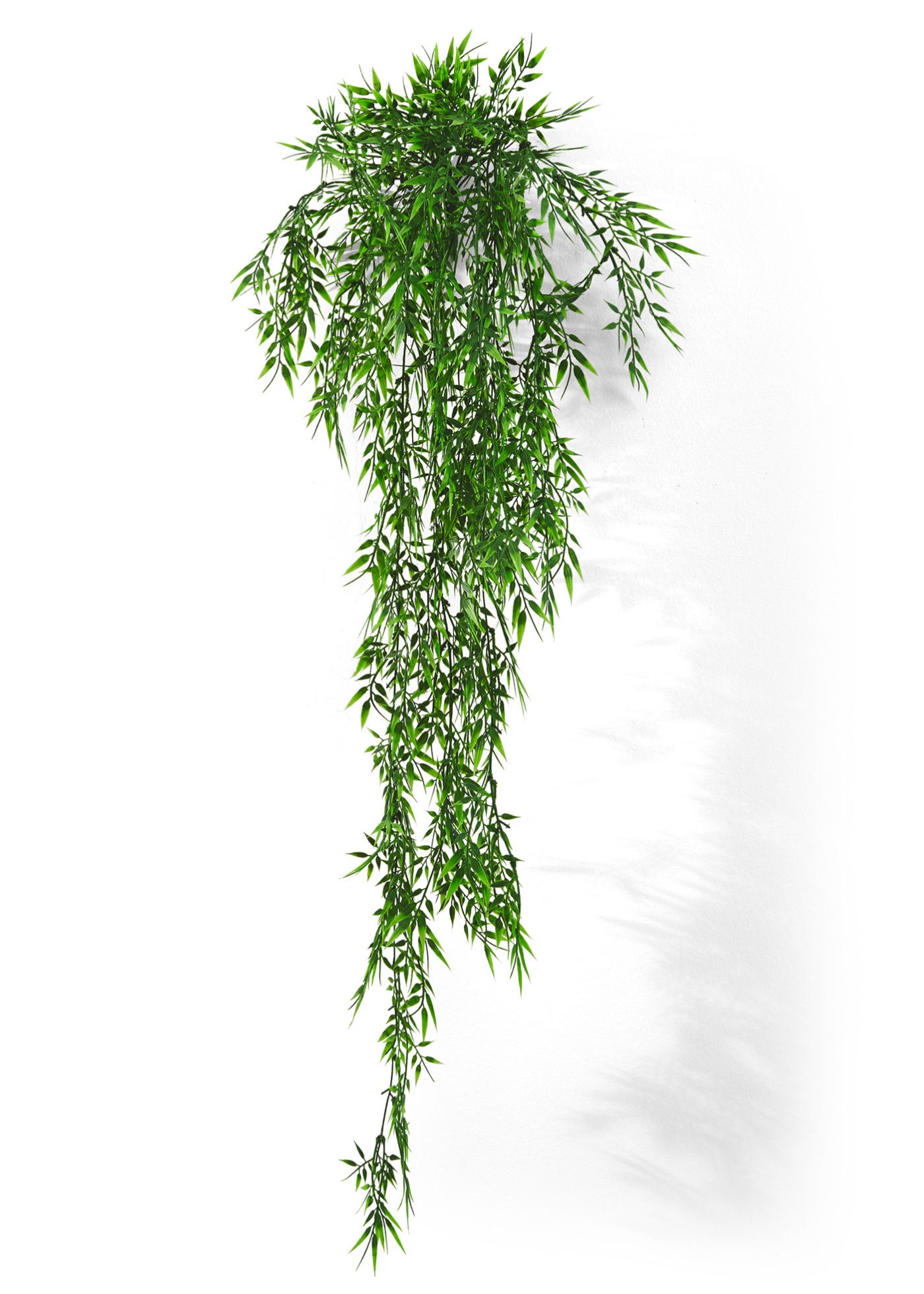Bambù artificiale (Verde) - bpc living bonprix collection
