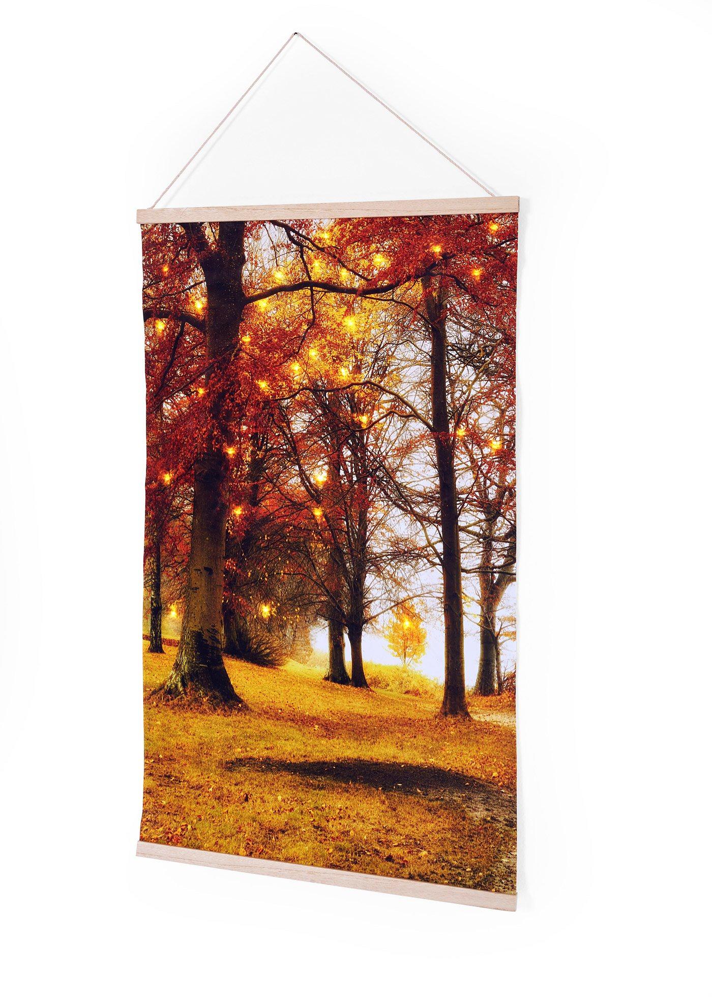 Tela in canvas a LED da appendere
