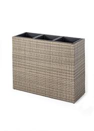 Fioriera rialzata, bpc living bonprix collection