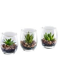 Piante grasse artificiali in bicchiere (set 3 pezzi), bpc living bonprix collection