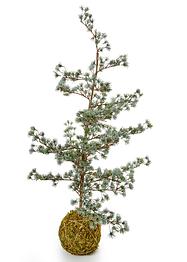 Albero di Natale di cedro artificiale con balla, bpc living bonprix collection