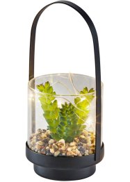 Pianta artificiale LED con vaso in vetro, bpc living bonprix collection