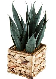Pianta artificiale in vaso, bpc living bonprix collection