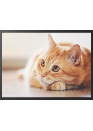 Zerbino con gatto, bpc living bonprix collection