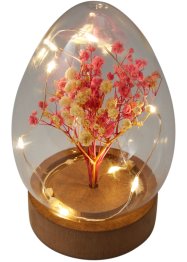 Soprammobile LED uovo con fiori secchi, bpc living bonprix collection