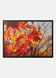 Zerbino con motivo autunnale, bonprix