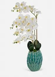 Pianta artificiale orchidea, bonprix