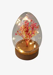 Soprammobile LED uovo con fiori secchi, bonprix