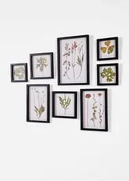 Quadri (set 8 pezzi), bonprix