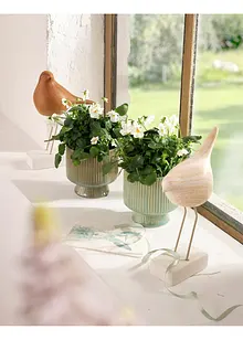 Portavaso (pacco da 2), bonprix