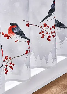 Tenda a vetro con motivo invernale, bonprix