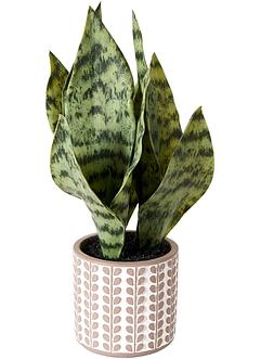 Pianta artificiale con vaso, bpc living bonprix collection