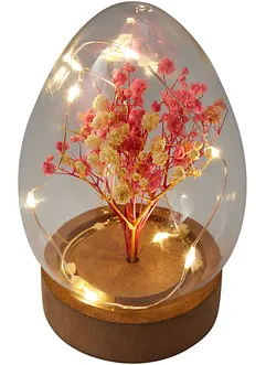 Soprammobile LED uovo con fiori secchi, bonprix