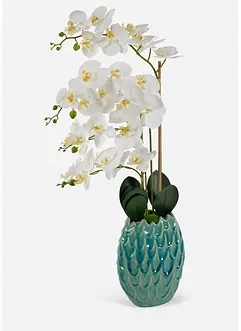 Pianta artificiale orchidea, bonprix