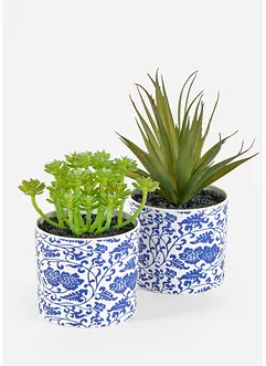 Pianta artificiale succulenta con vaso (pacco da 2), bonprix