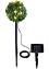 Decorazione solare a forma di bosso, bpc living bonprix collection