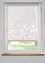 Tenda a rullo devoré in fantasia floreale, bpc living bonprix collection