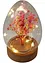 Soprammobile LED uovo con fiori secchi, bonprix