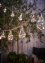 Catena luminosa solare con lampadine, bpc living bonprix collection