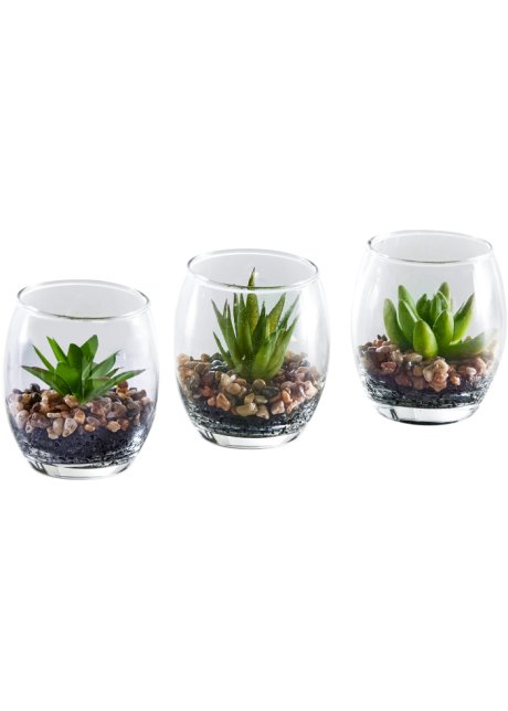 Decorazione ideale per ambiente bui: 3 piante grasse artificiali in  bicchiere - Verde