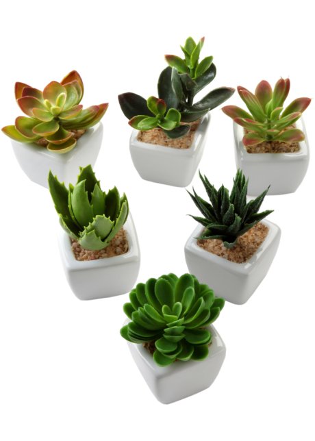 Decorative e di facile cura: piante grasse artificiali in set da 6 pezzi -  Verde