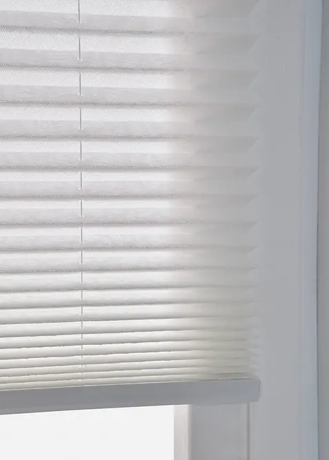 Tenda plissettata scherli con foglie, bonprix