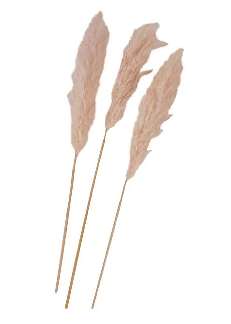 Erba della Pampas artificiale (pacco da 3), bonprix