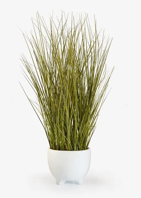 Pianta artificiale in vaso, bonprix