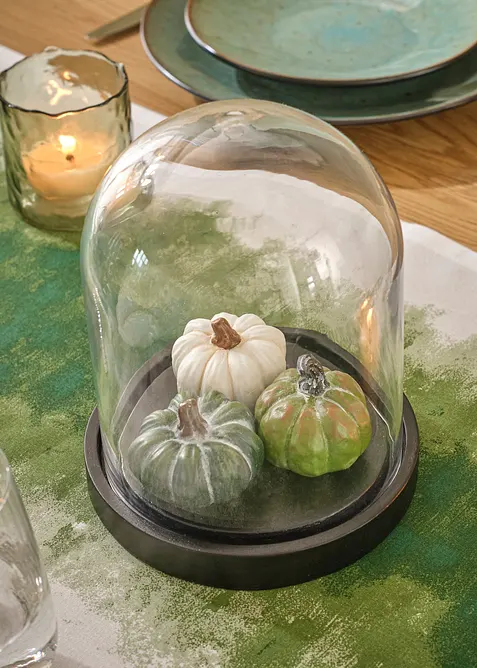 Zucche con campana di vetro, bonprix