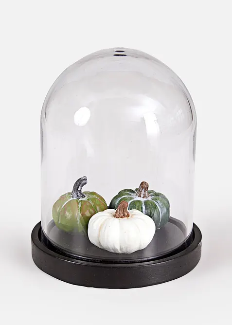 Zucche con campana di vetro, bonprix