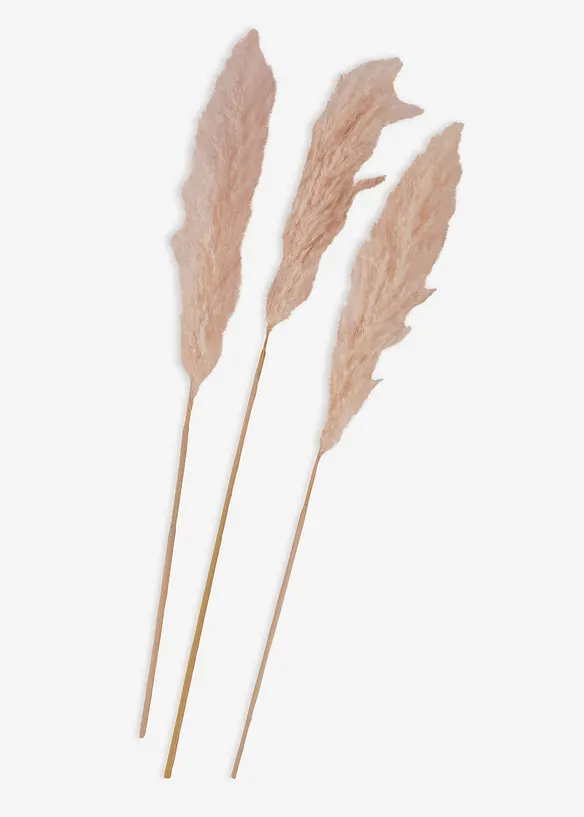 Erba della Pampas artificiale (pacco da 3), bonprix