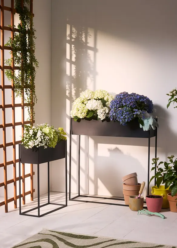 Fioriere (set 2 pezzi), bonprix