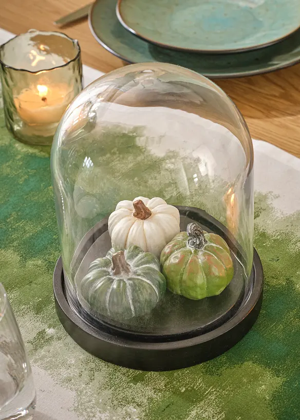 Zucche con campana di vetro, bonprix