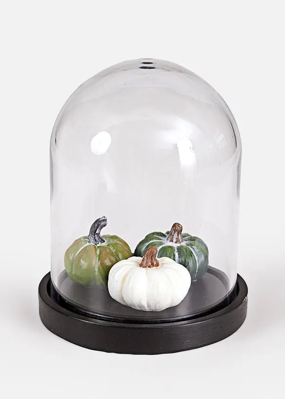 Zucche con campana di vetro, bonprix