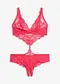 Fucsia