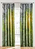 Tenda oscurante con bosco (pacco da 1), bonprix