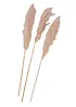 Erba della Pampas artificiale (pacco da 3), bonprix