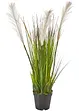 Pianta artificiale, bpc living bonprix collection