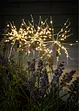 Decorazione solare con stelle (set 3 pezzi), bonprix