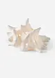 Soprammobile LED conchiglia, bonprix