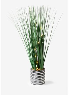 Pianta artificiale LED in vaso di ceramica, bpc living bonprix collection